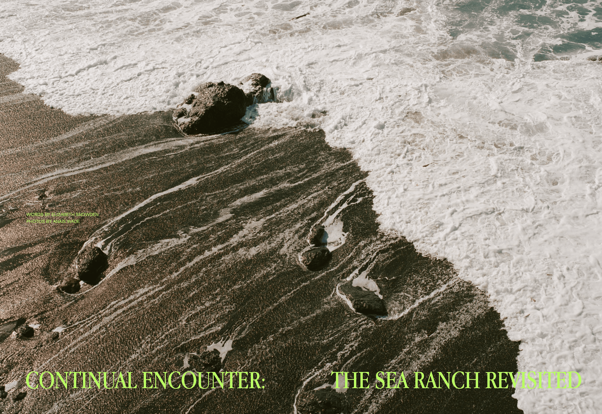 Picture of the author