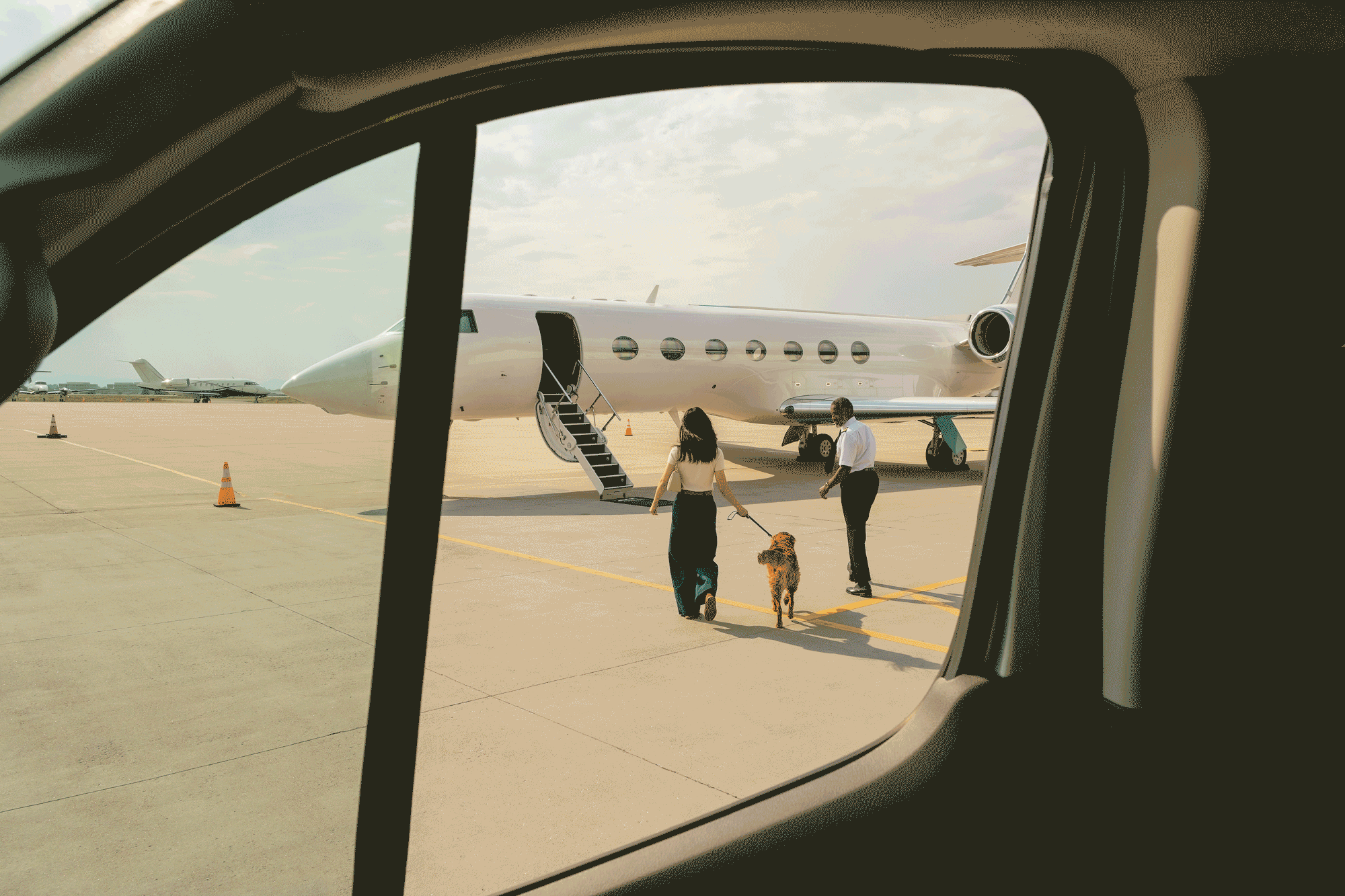 Picture of the author