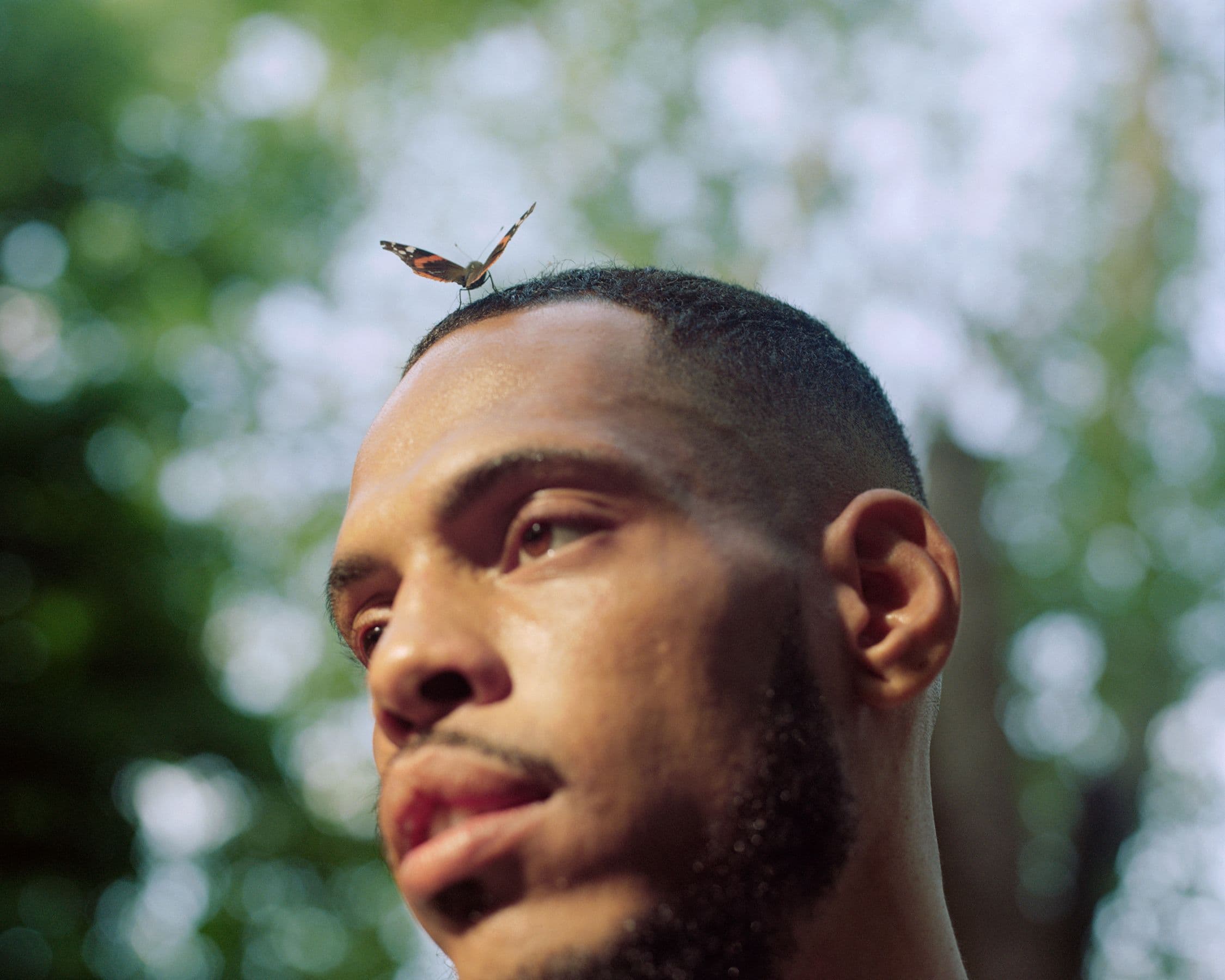 Picture of the author