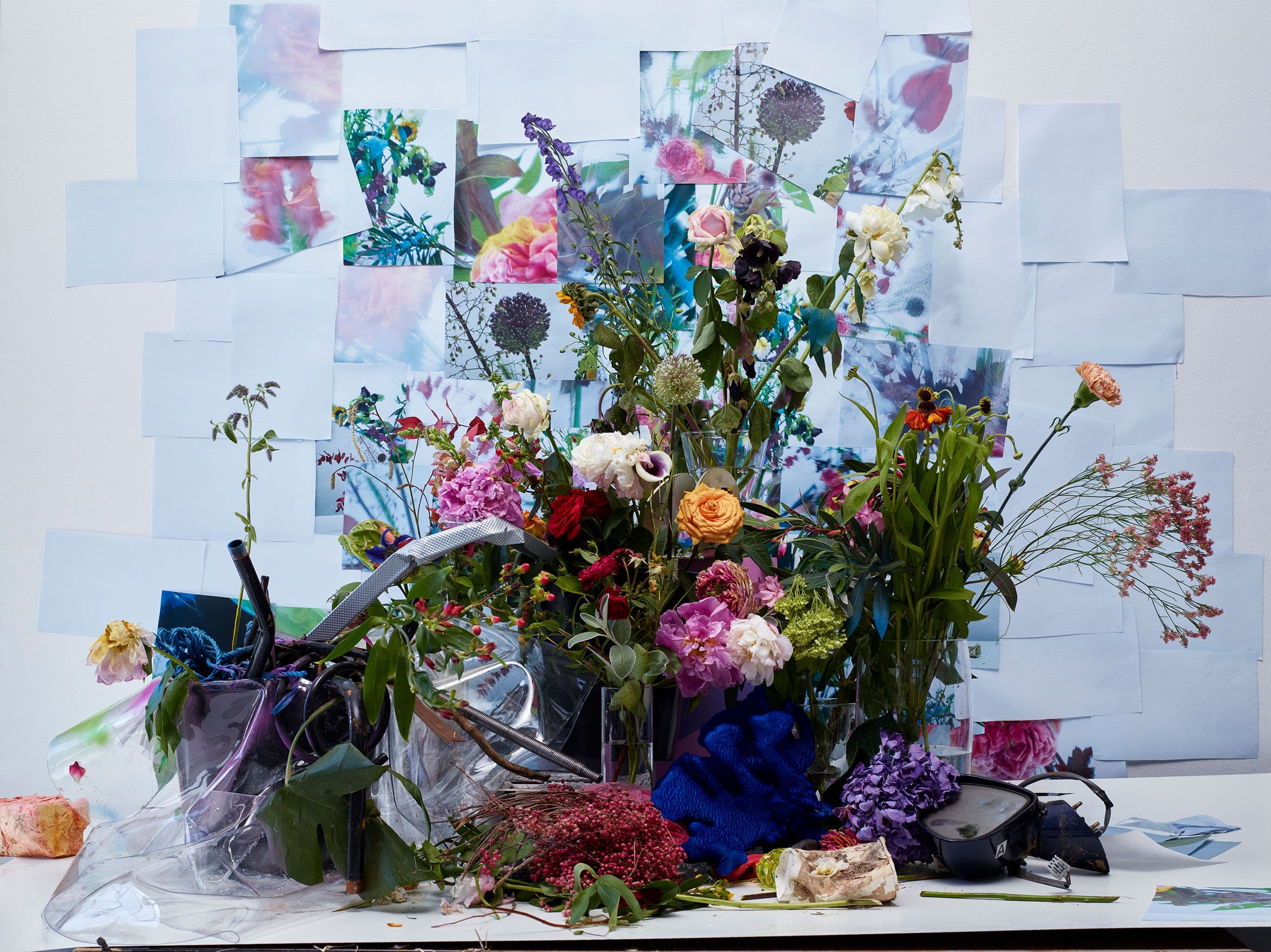 Picture of the author