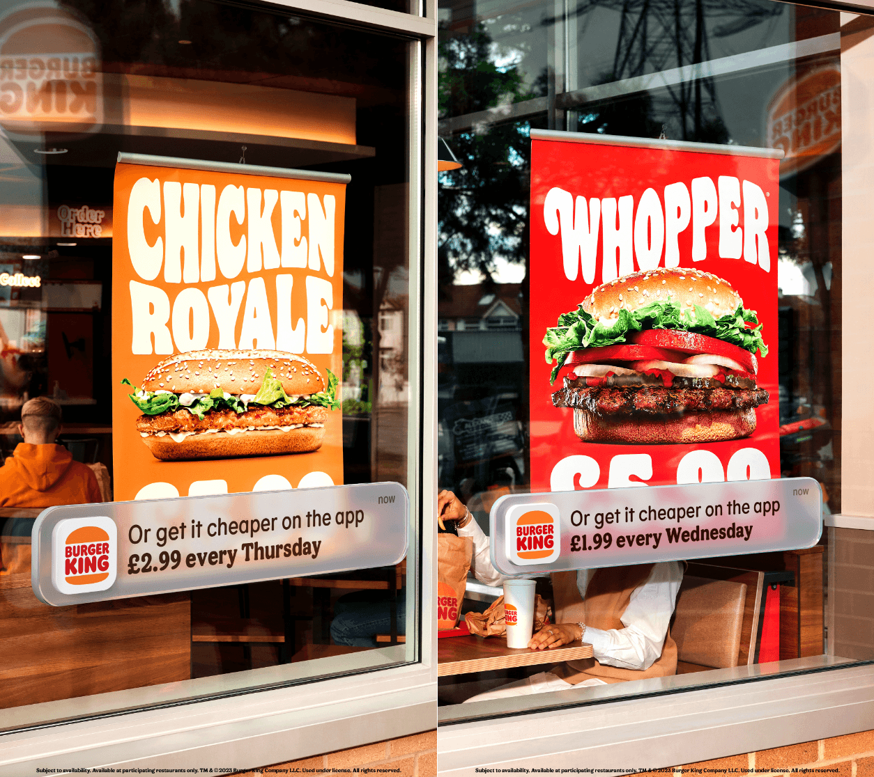 Picture of the author