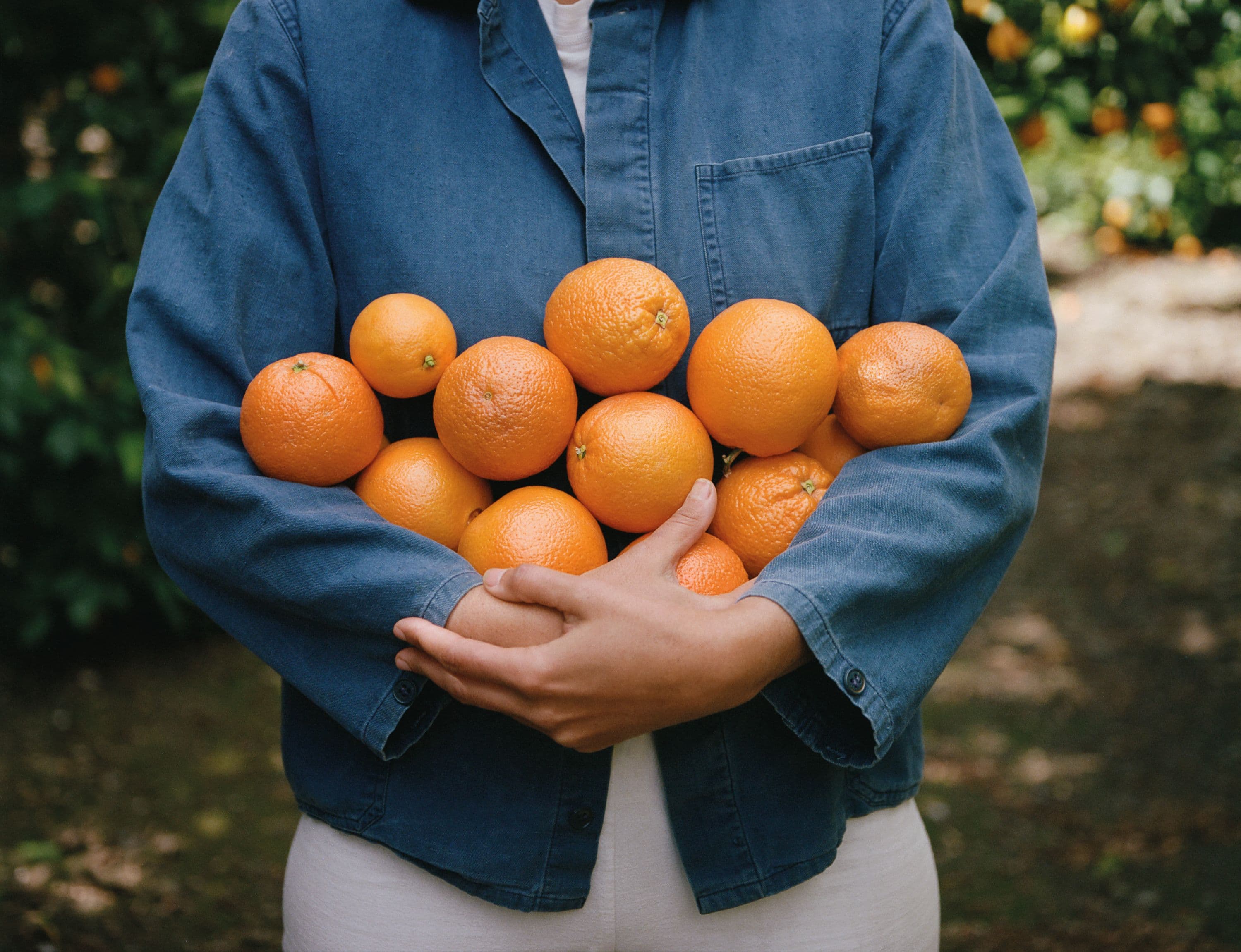 Picture of the author