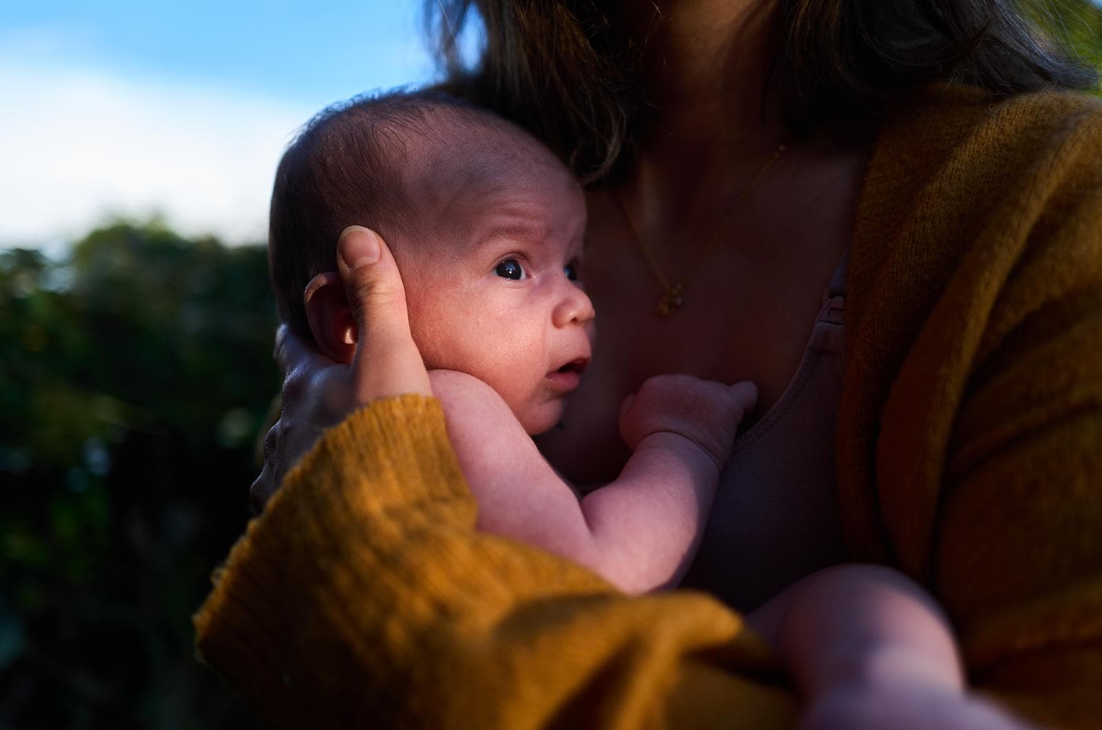 Picture of the author