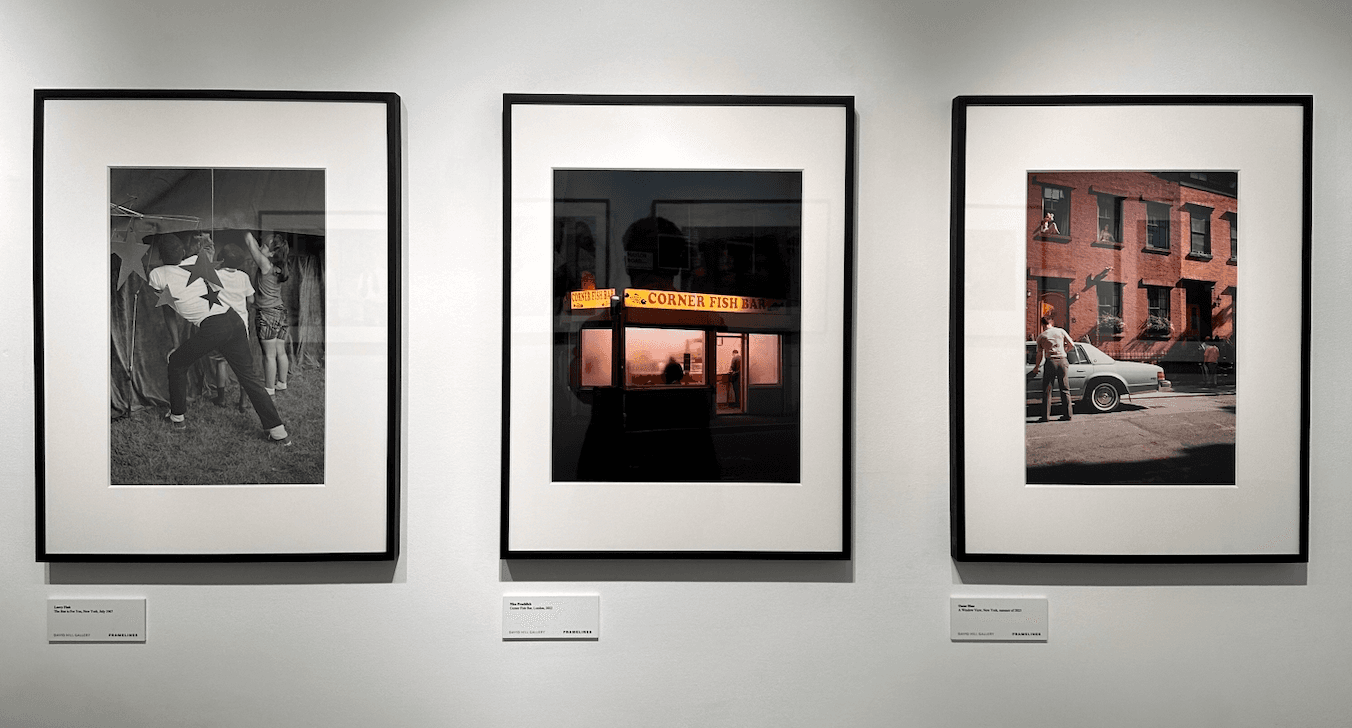 Picture of the author