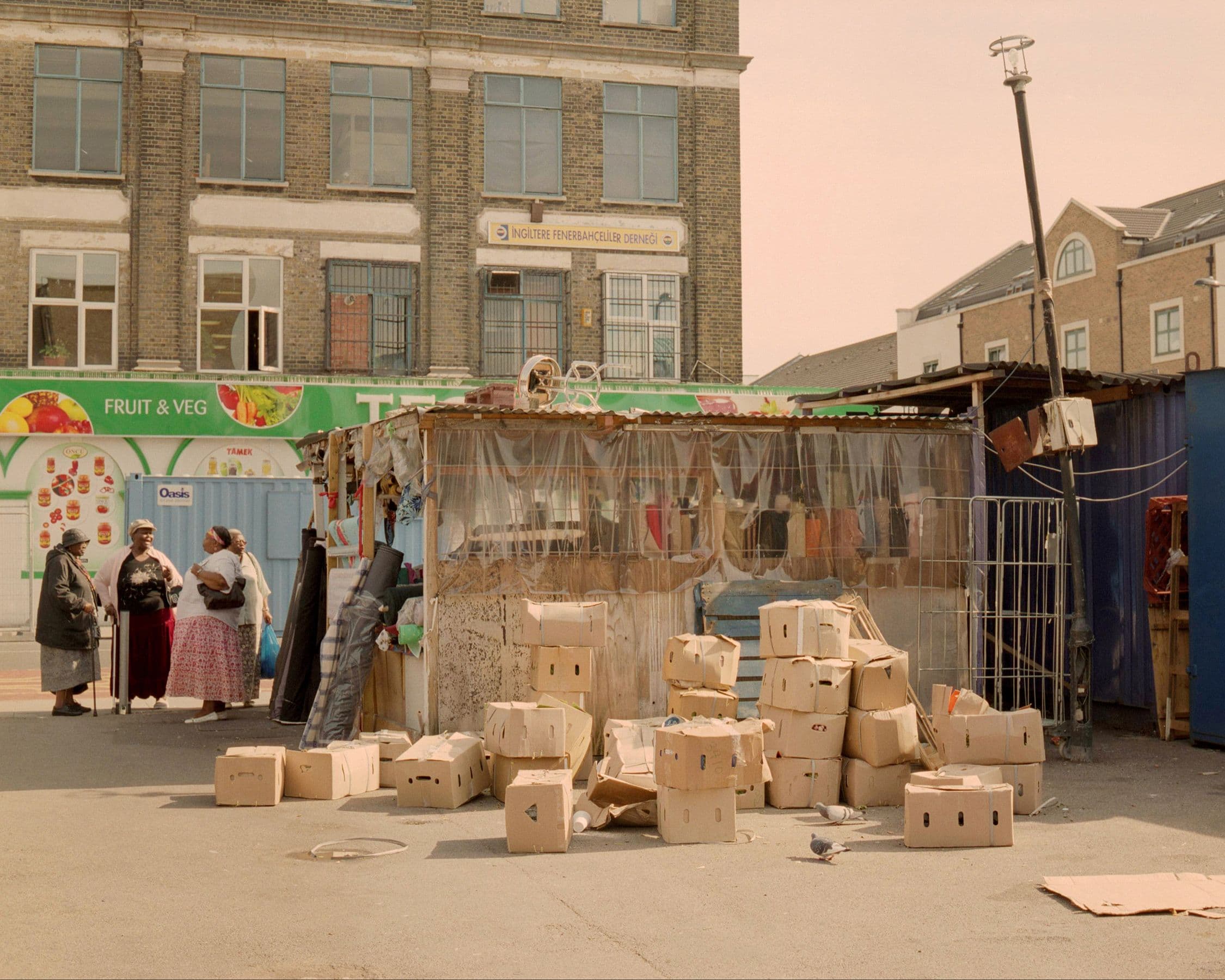 Picture of the author