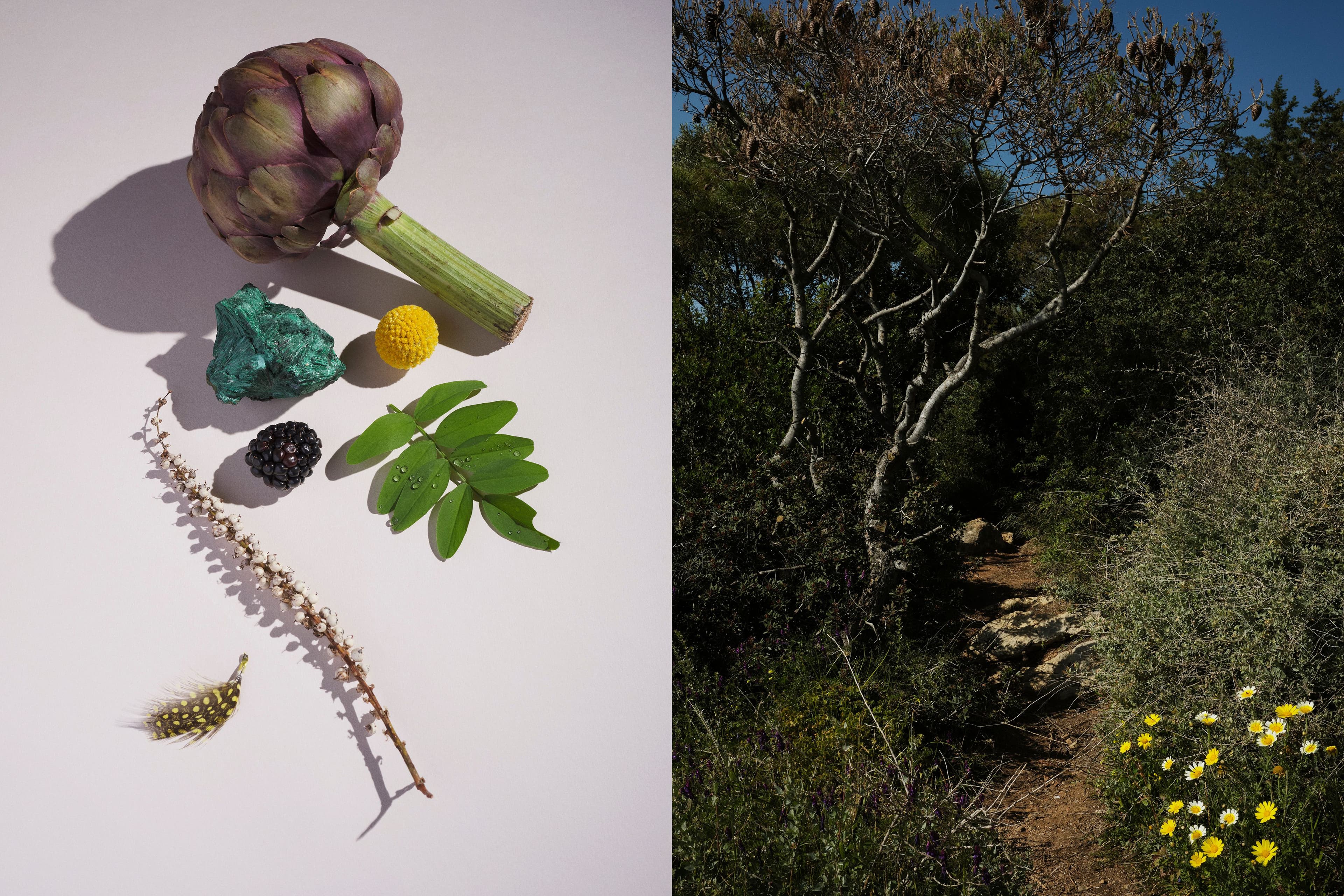 Picture of the author