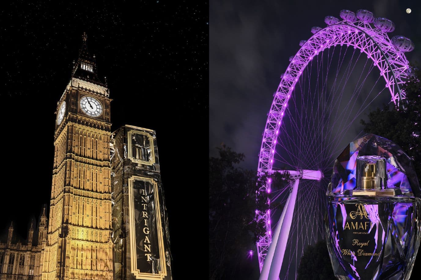 Picture of the author