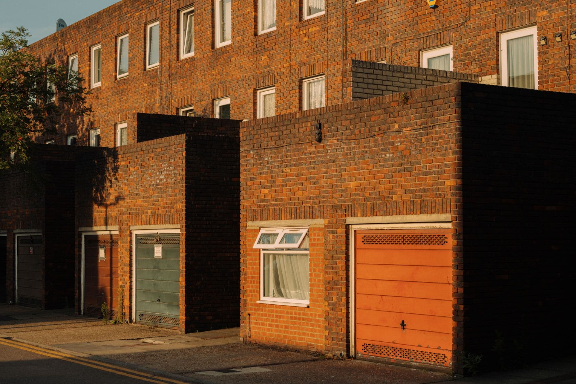 Picture of the author