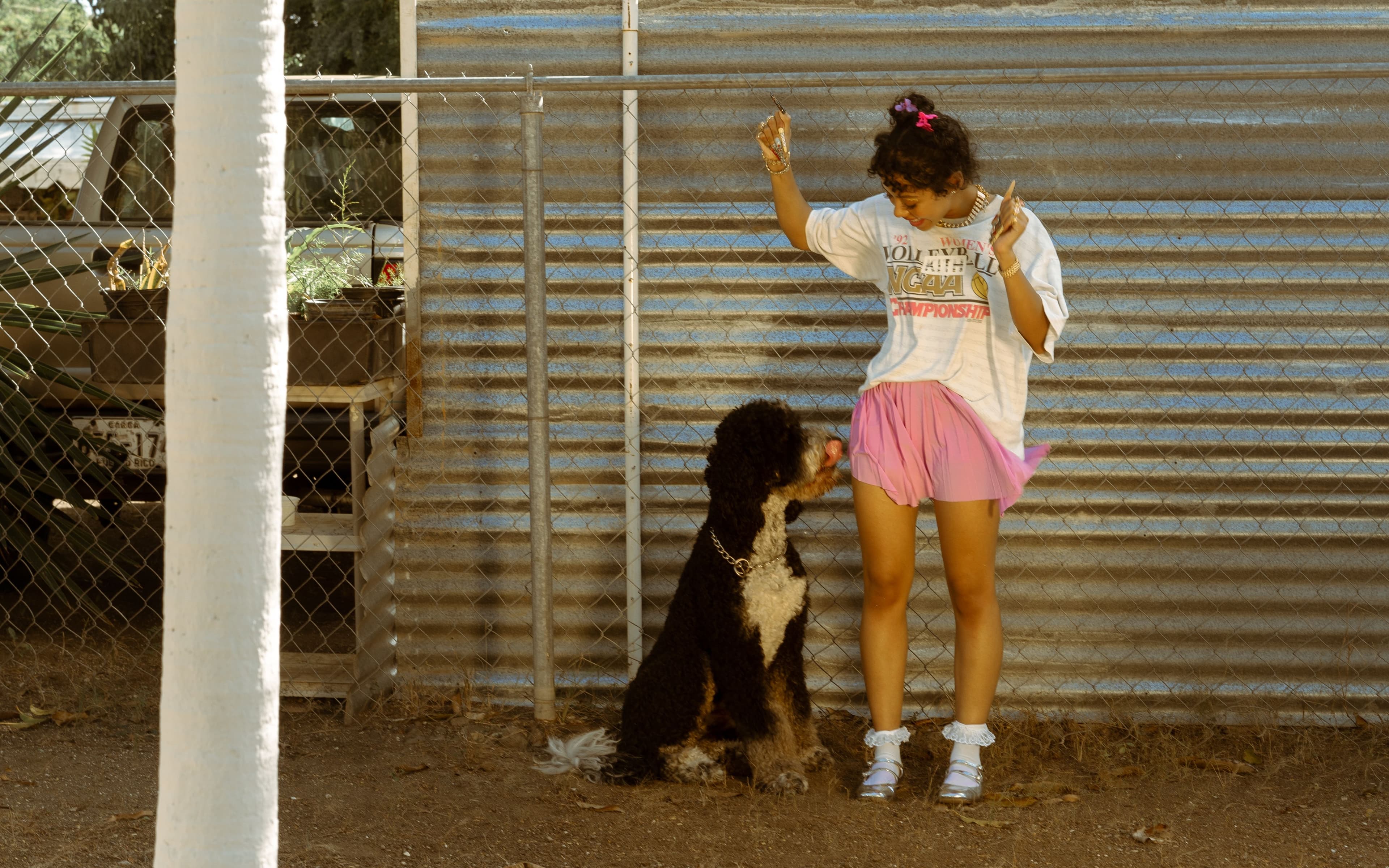 Picture of the author