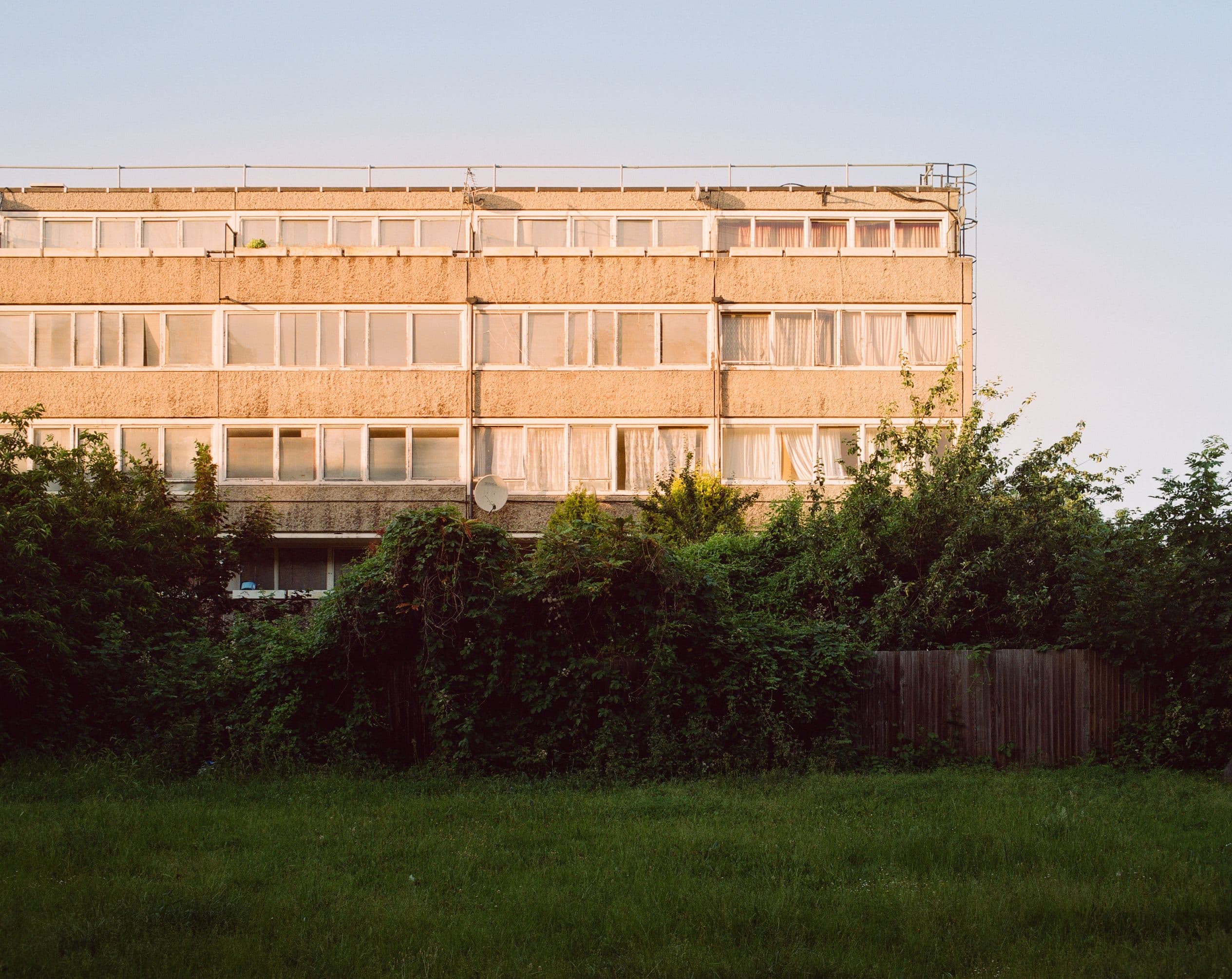 Picture of the author