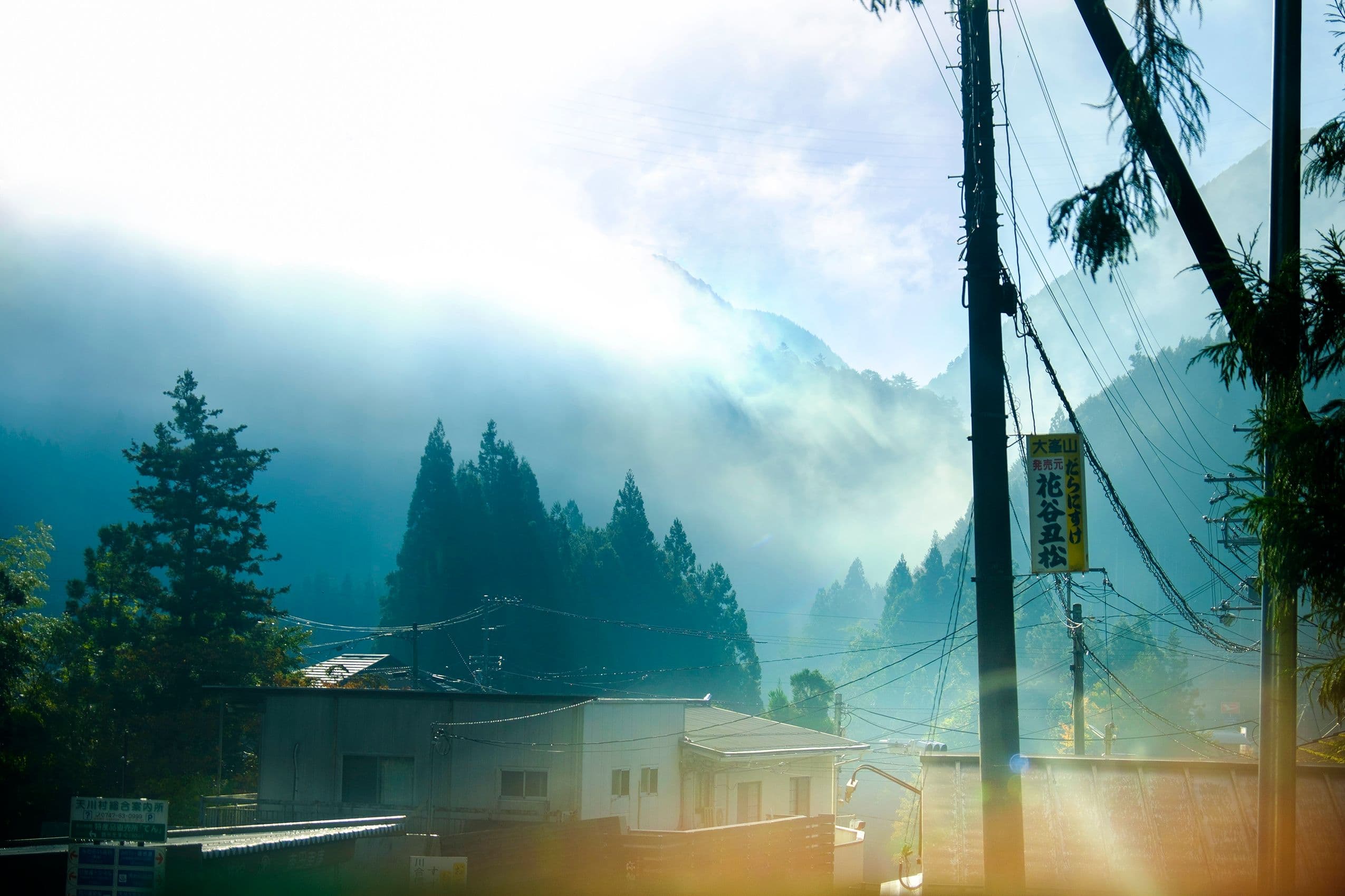 Picture of the author