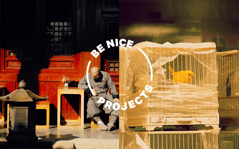 Picture of the author