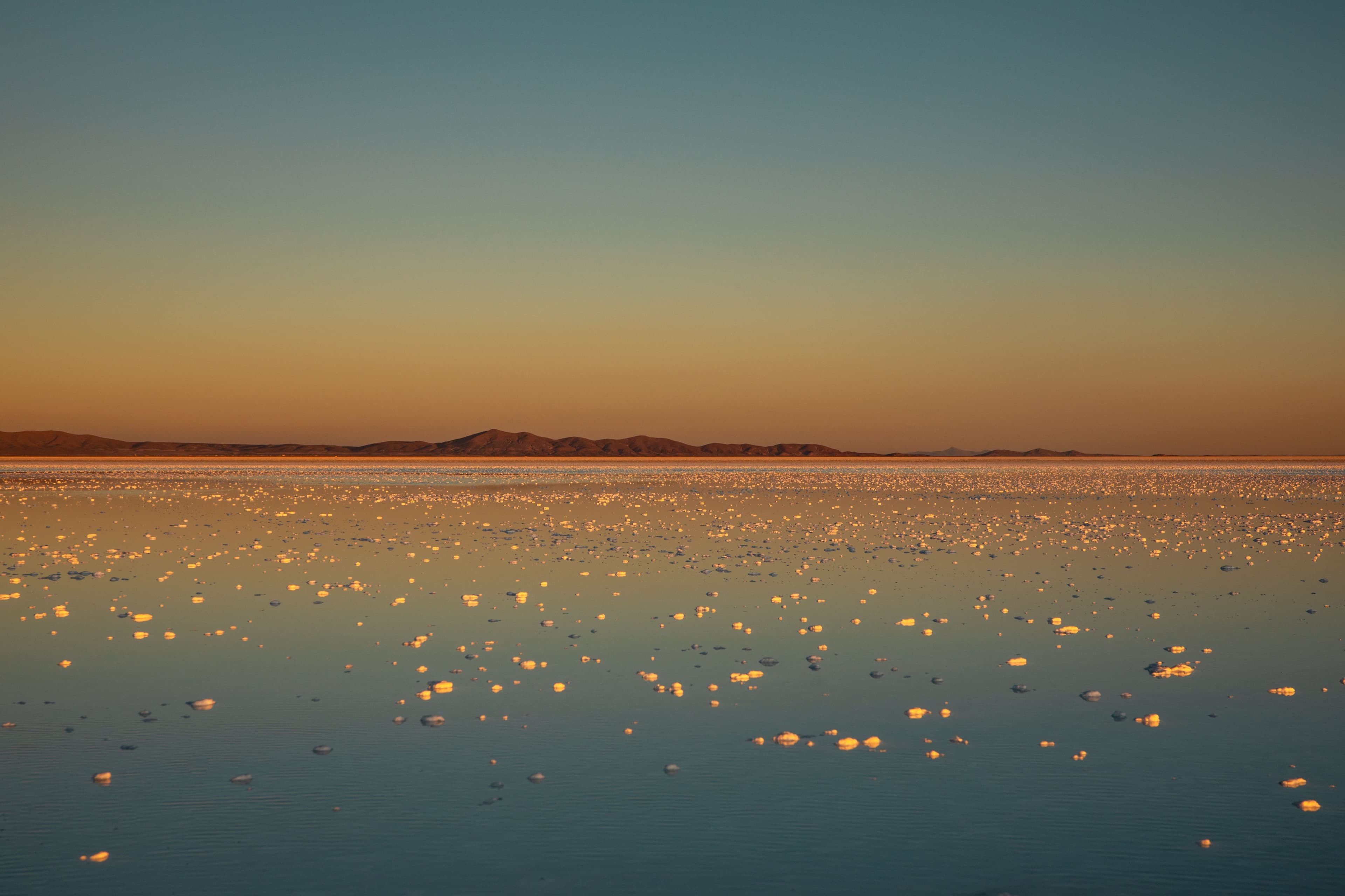 Picture of the author