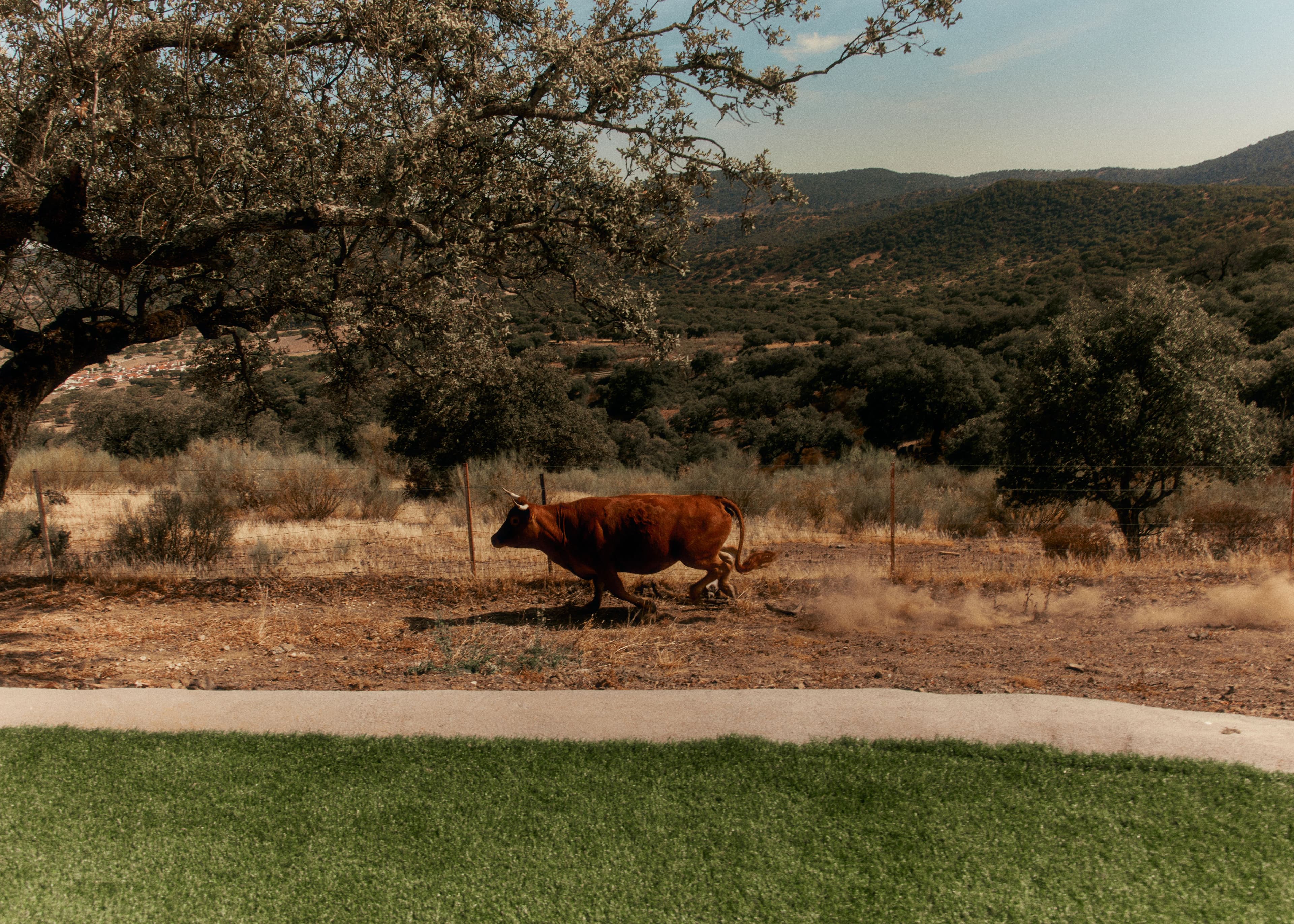 Picture of the author