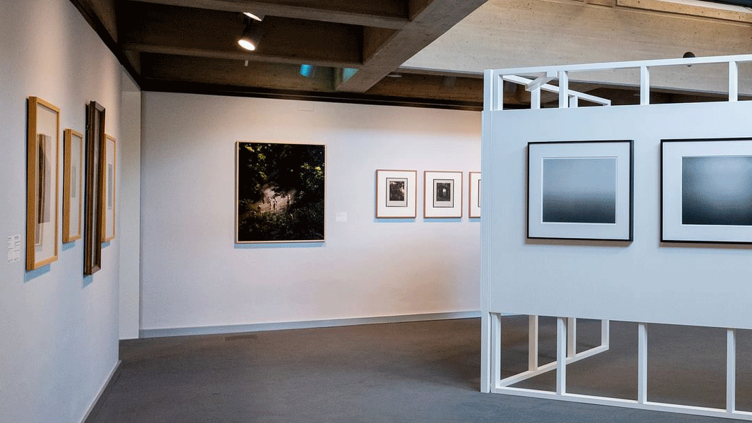 Picture of the author