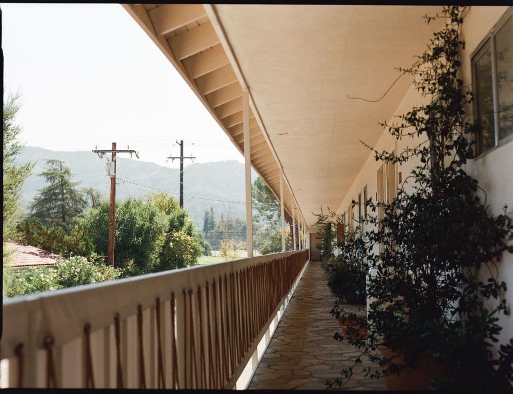 Picture of the author