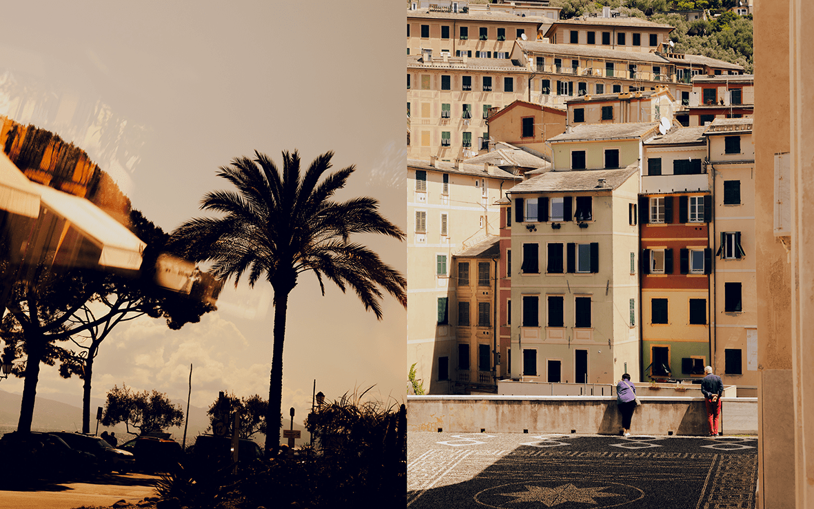 Picture of the author