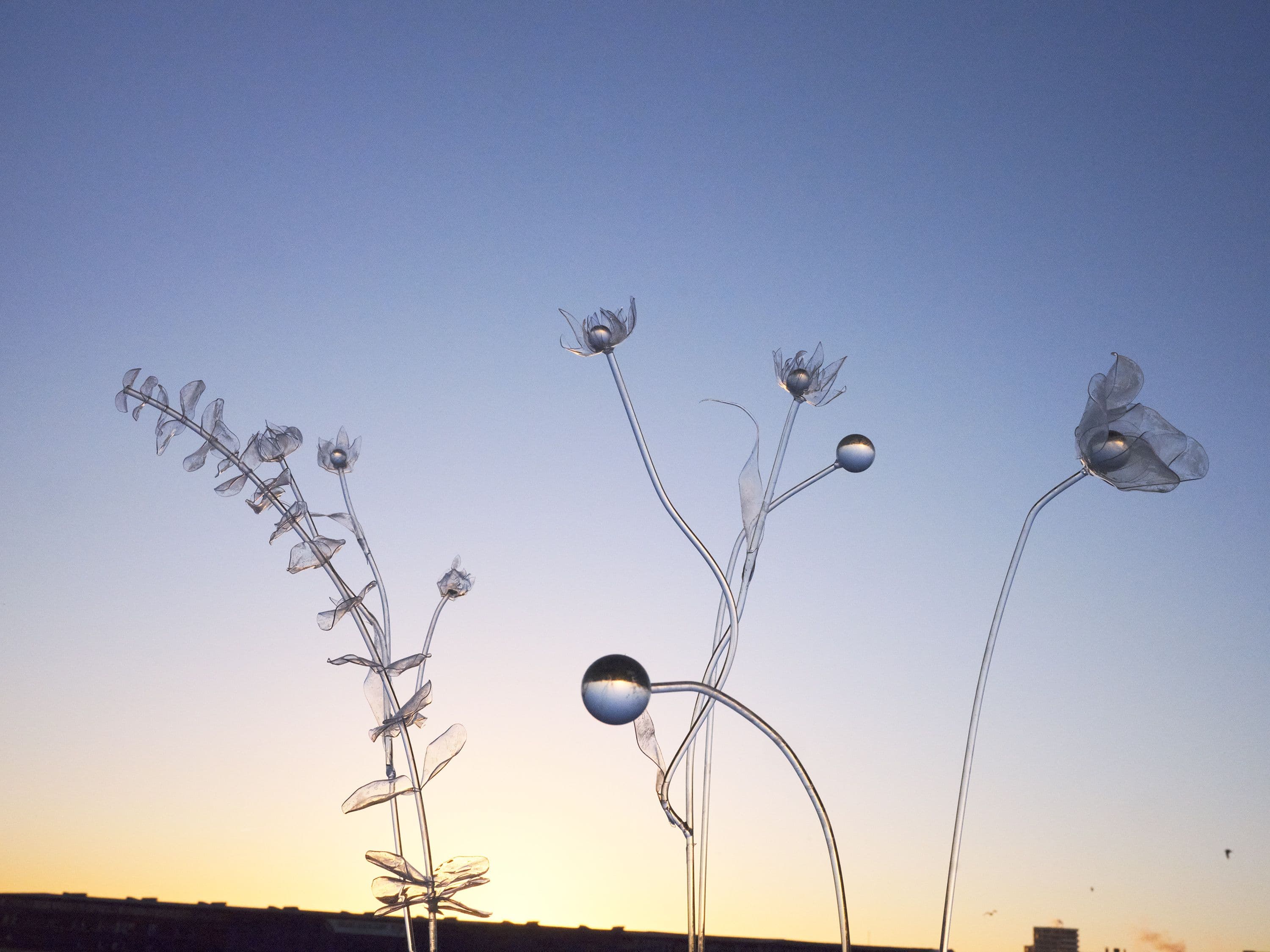 Picture of the author