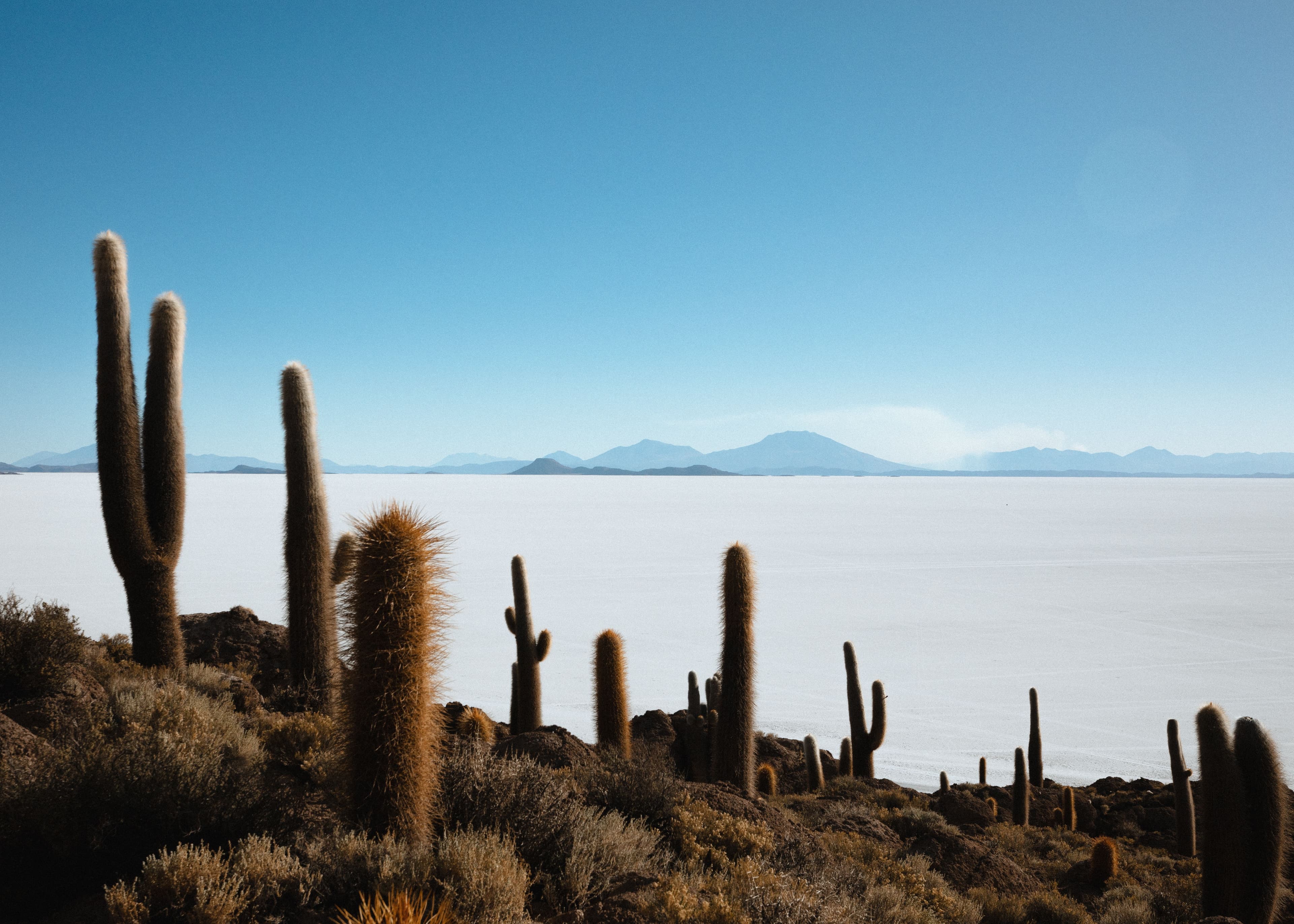 Peru shot by Elliot Jones