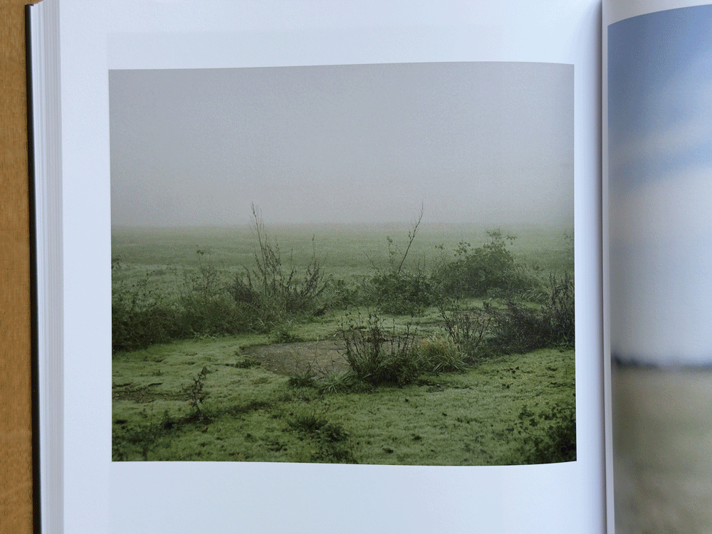 Picture of the author