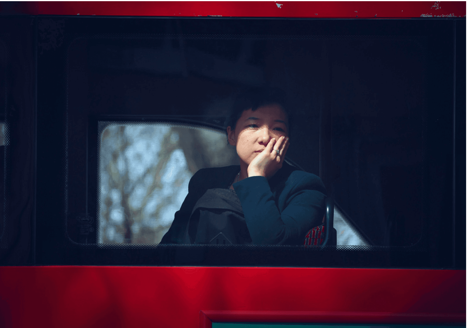 Picture of the author