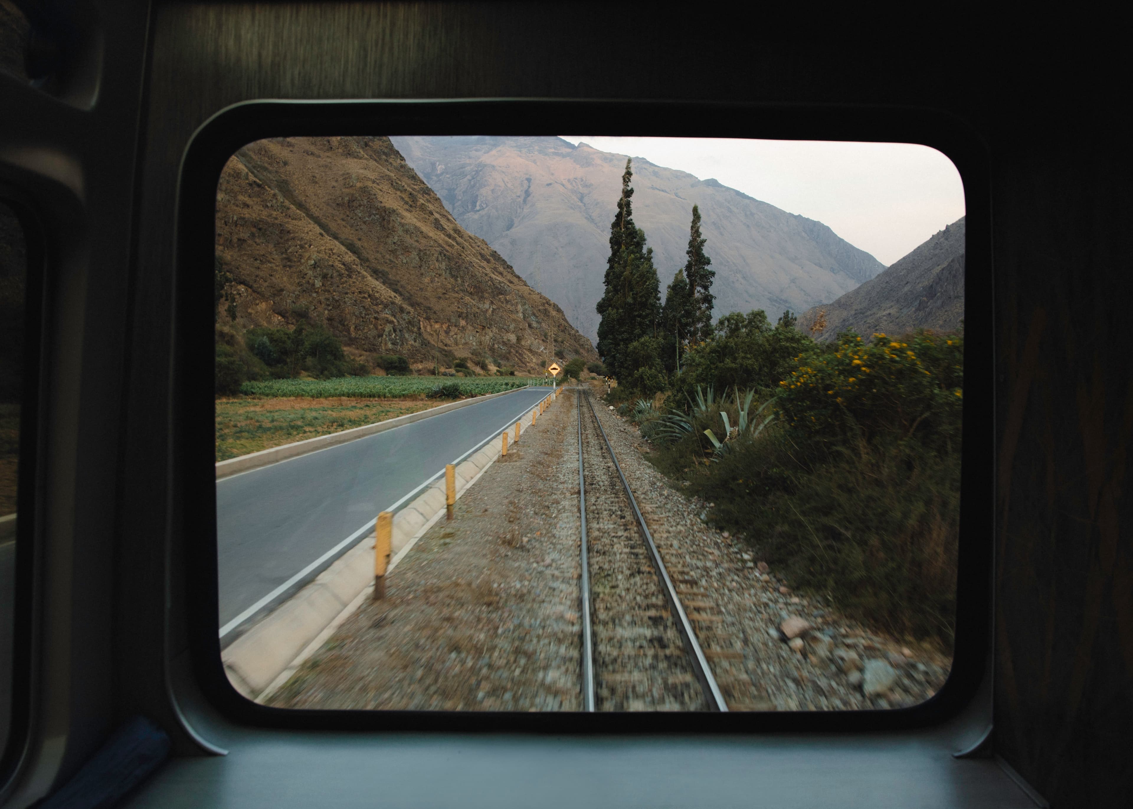 Picture of the author