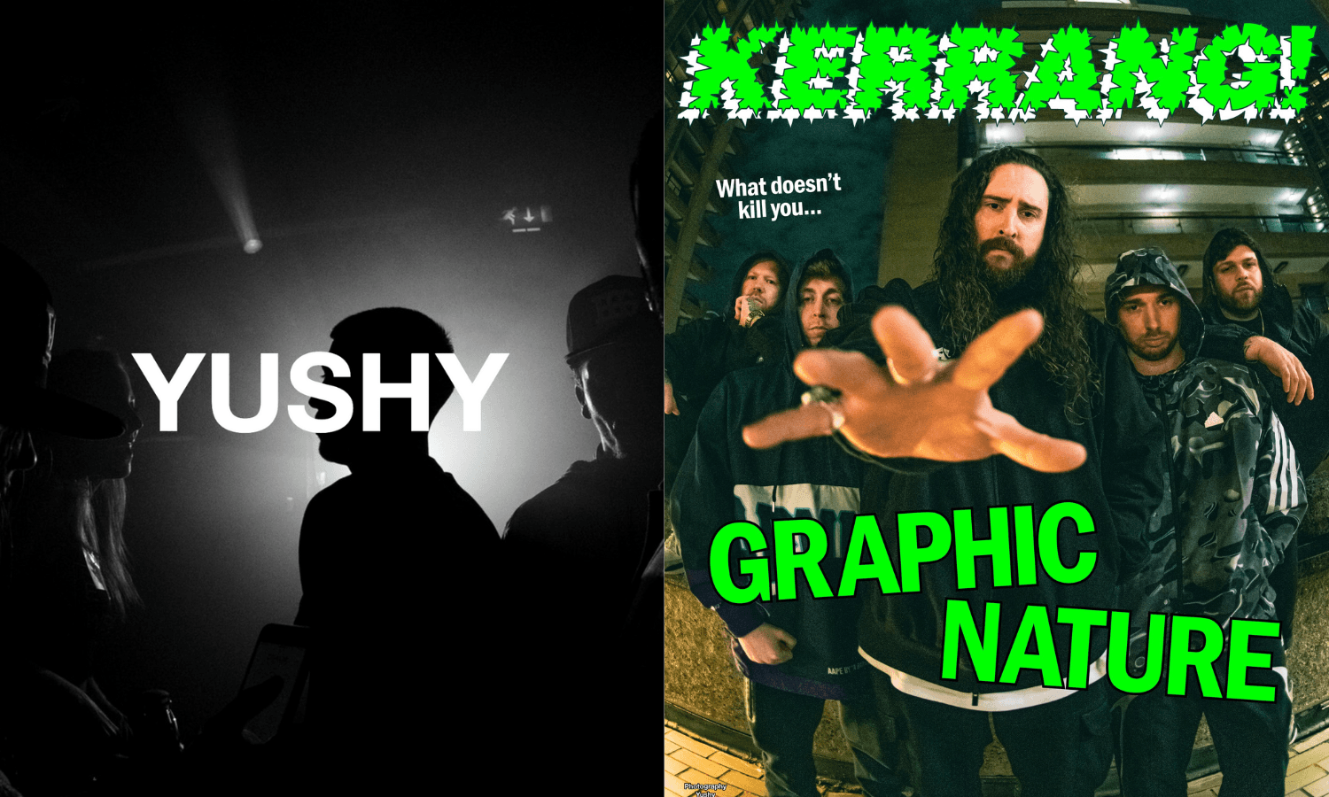 Picture of the author