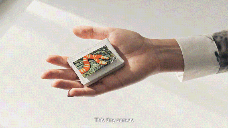 Picture of the author