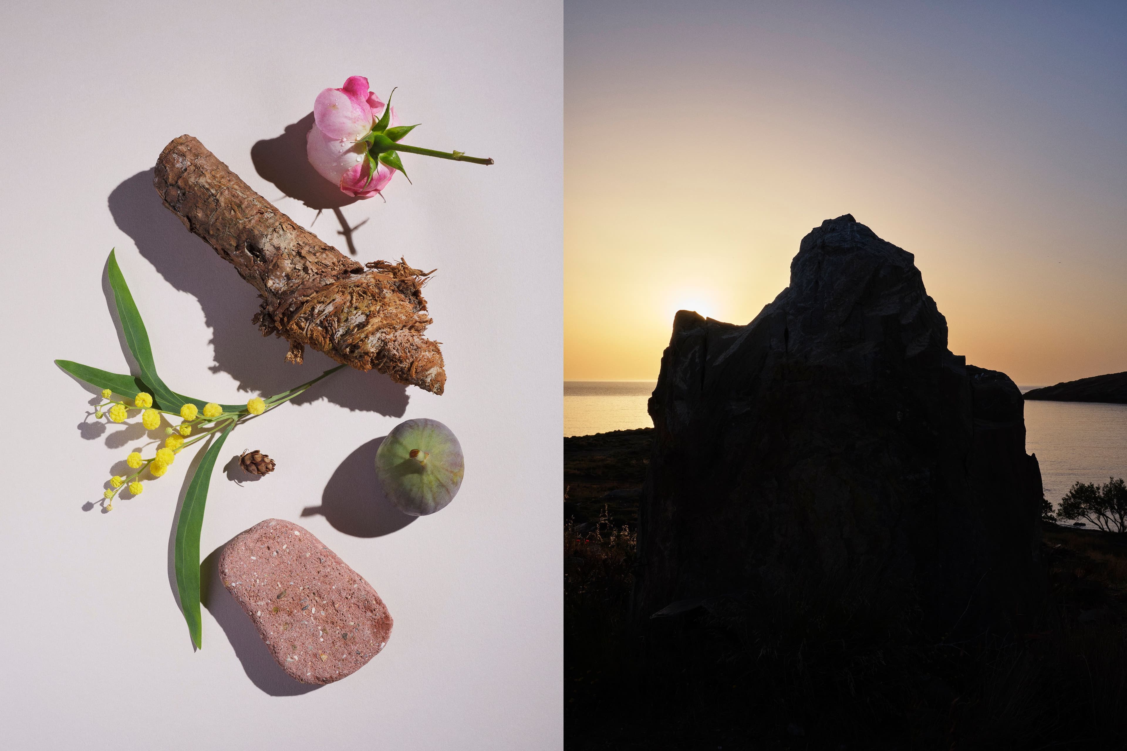 Picture of the author