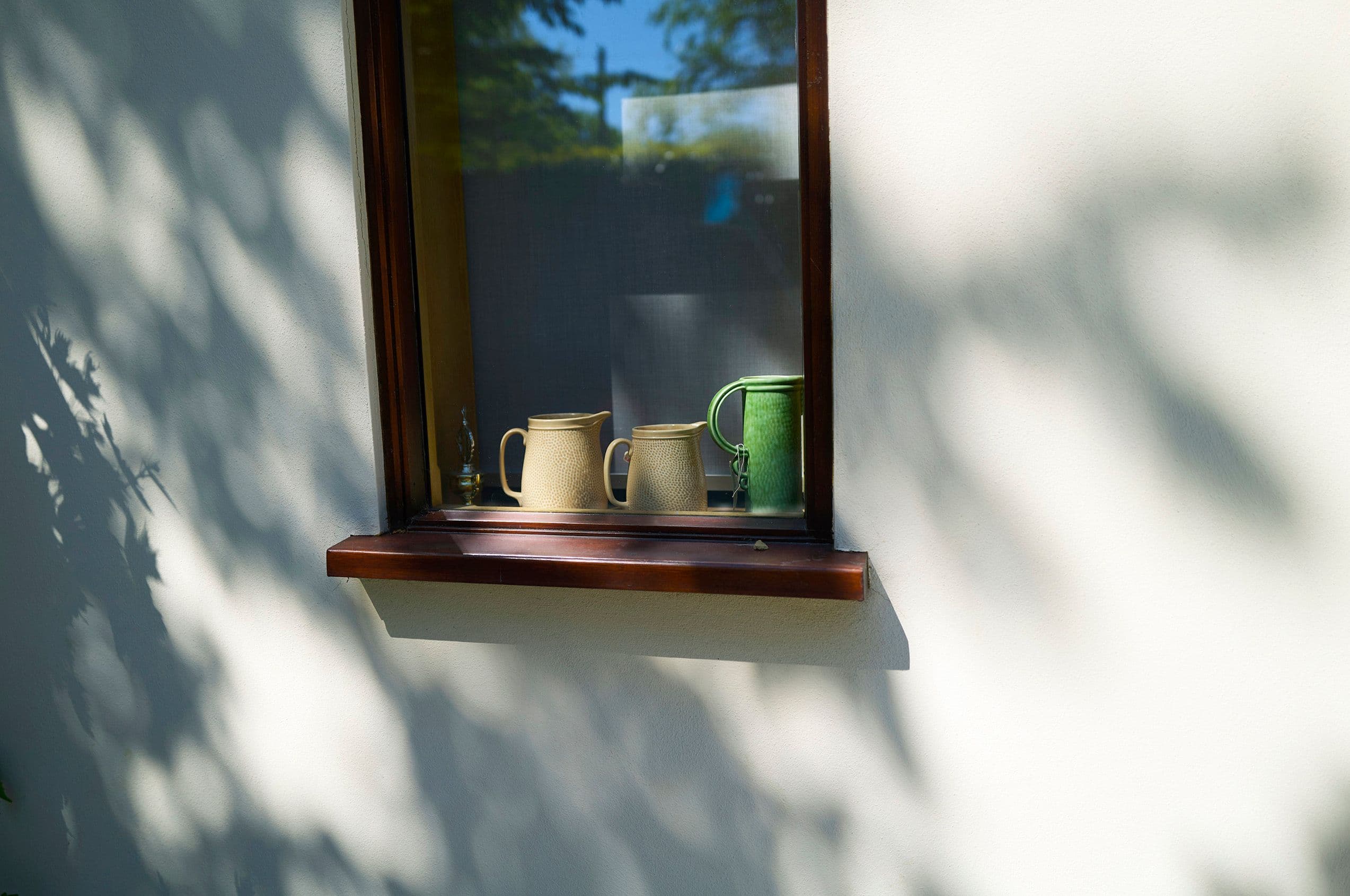 Picture of the author