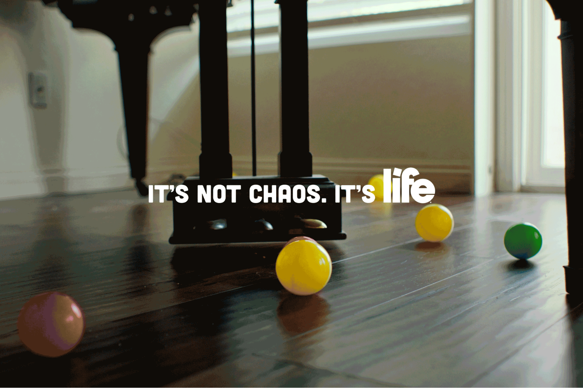 Picture of the author