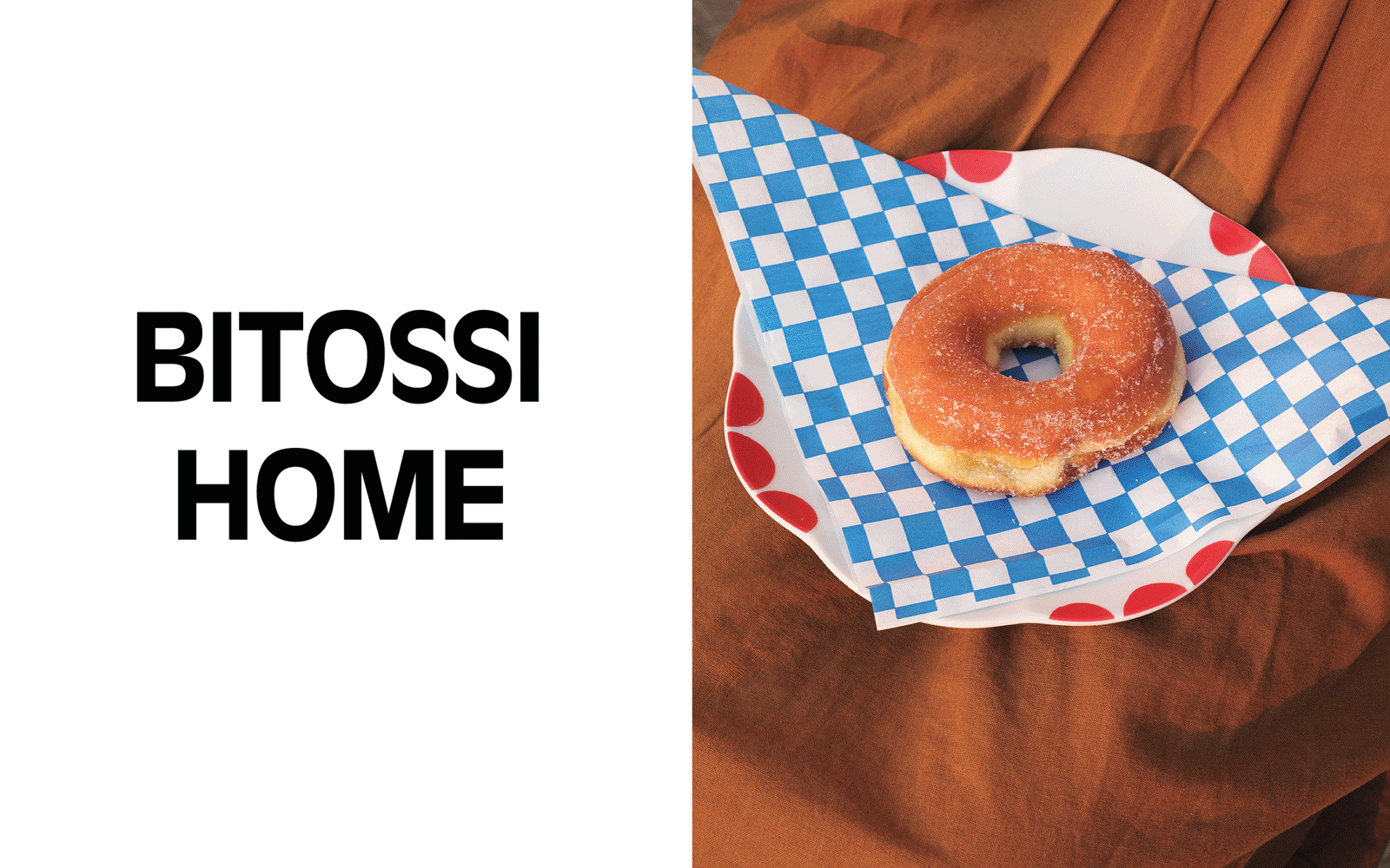 Picture of the author