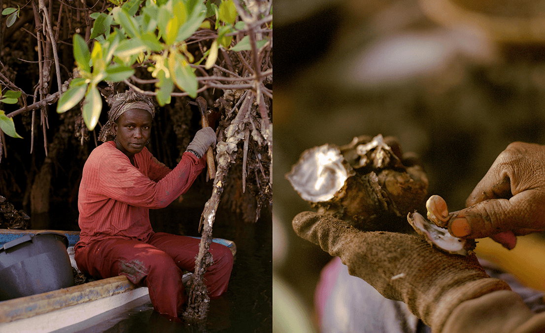 Picture of the author