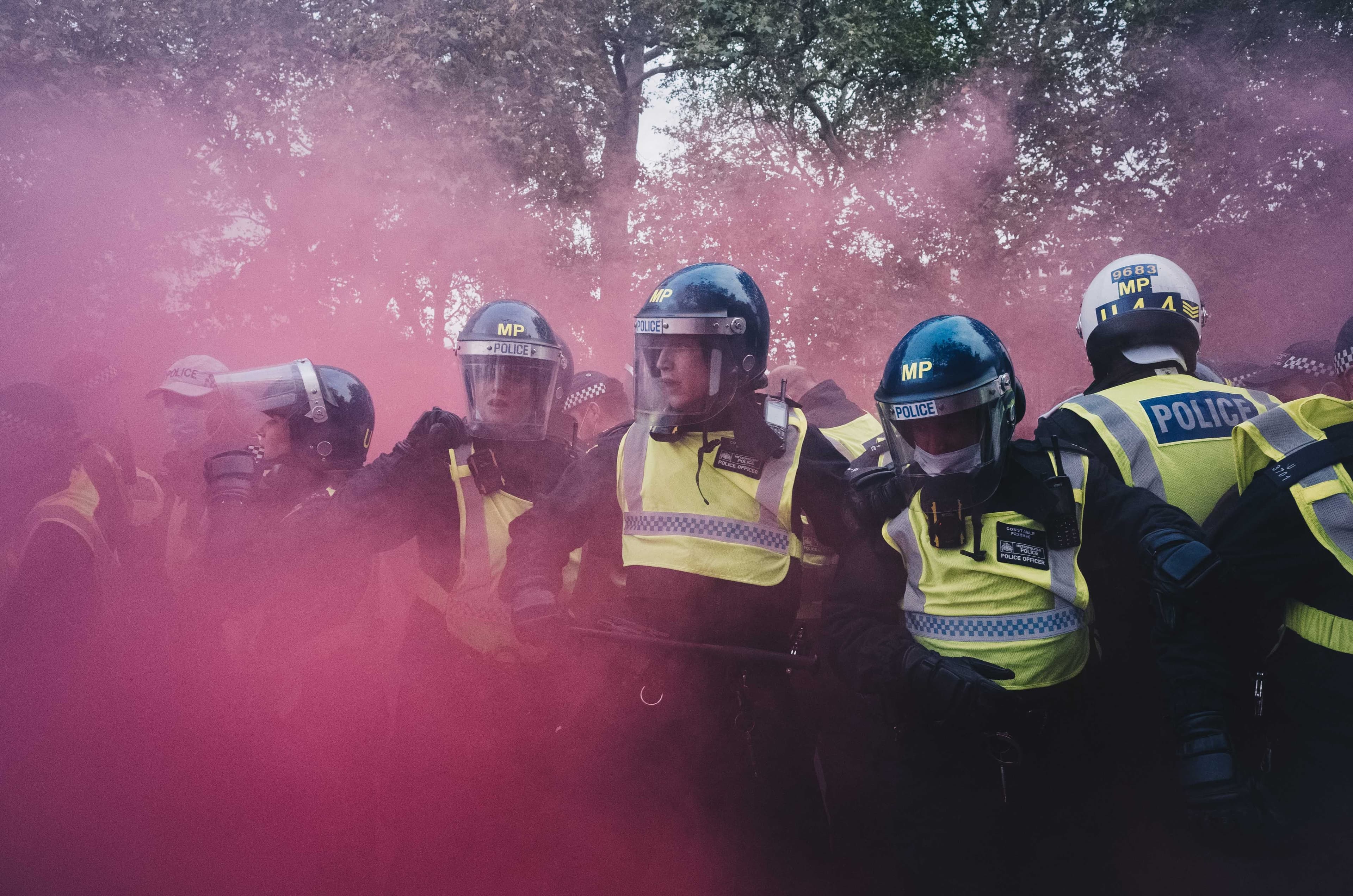 Picture of the author