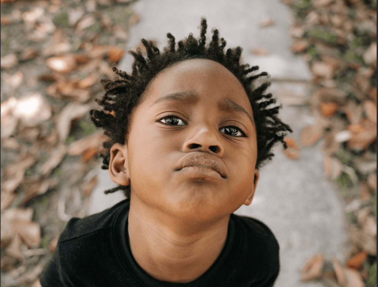 Picture of the author