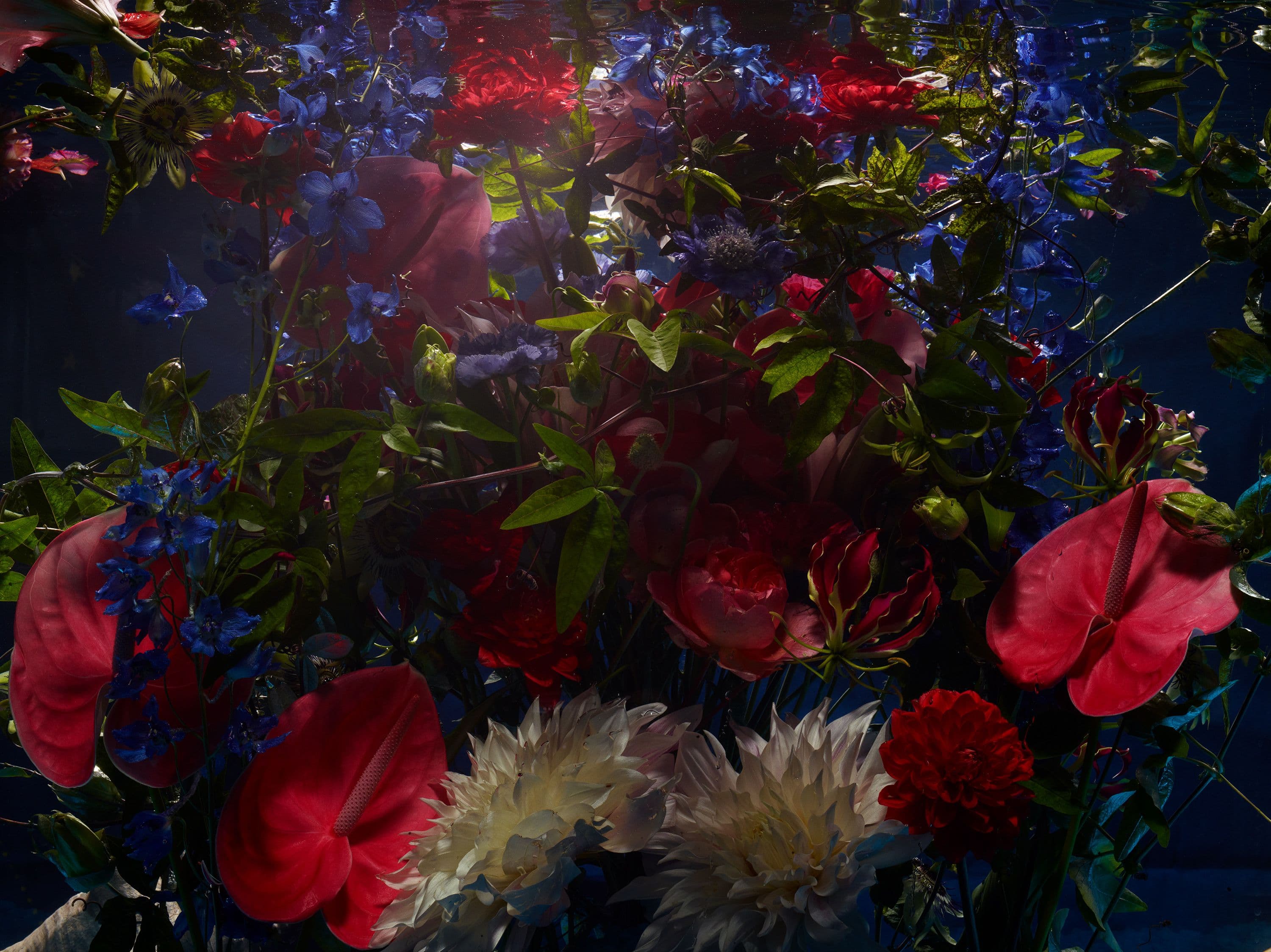 Picture of the author