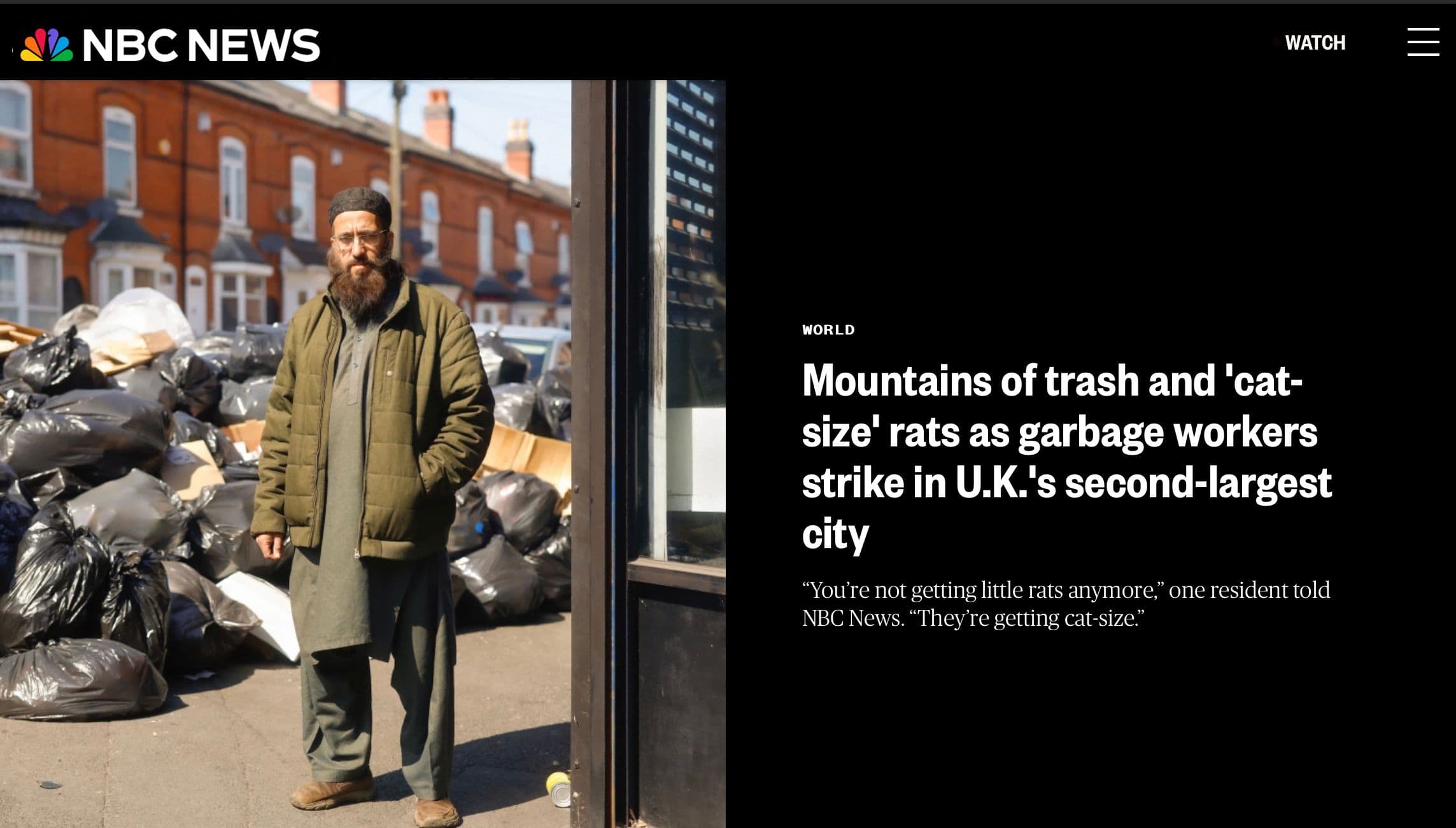 Picture of the author